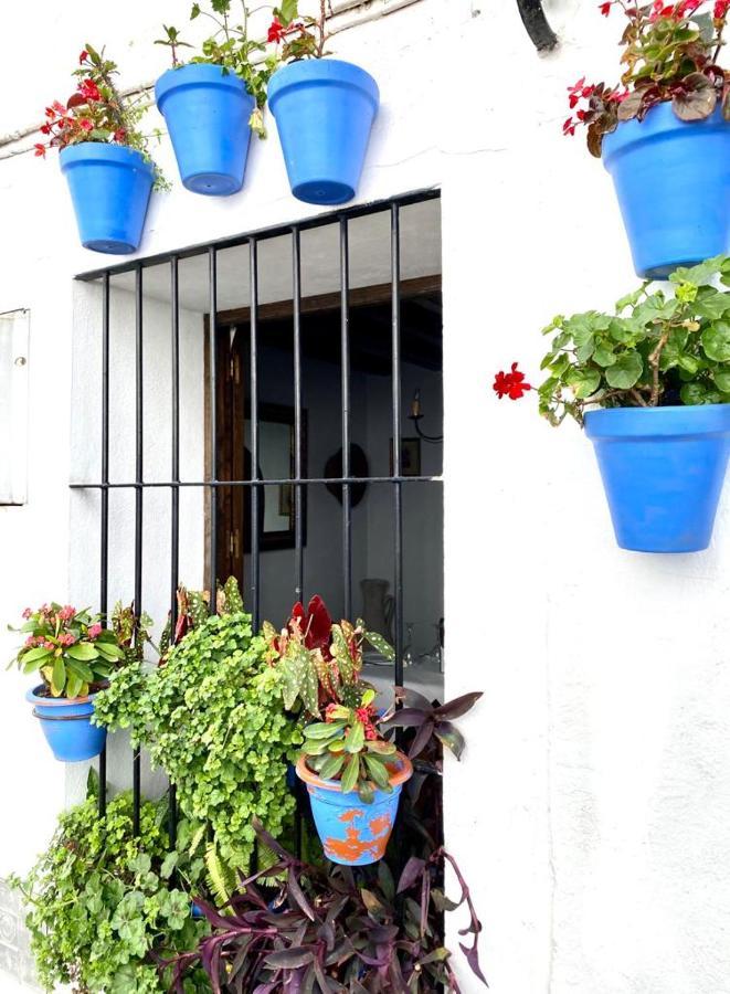 Casa Rural Manantial De Las Jaras Istan Exterior photo
